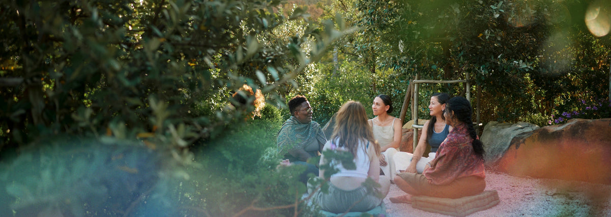 Gesprächsrunde im sonnigen Garten: Teilnehmende sitzen entspannt im Kreis zwischen grünen Bäumen