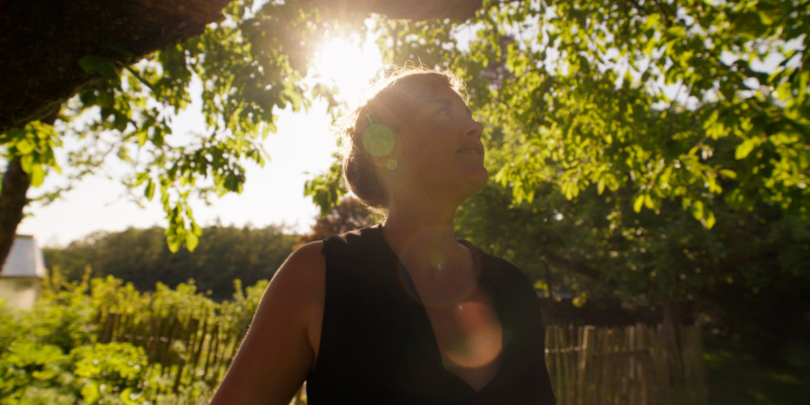psychedelic retreat deutschland video