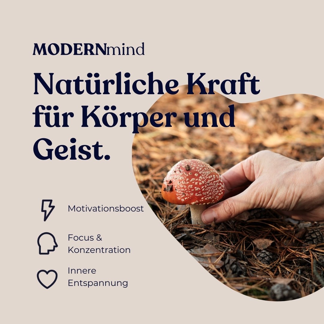 Fliegenpilz Microdosing Kapseln – Natürliche Kraft für Körper und Geist - Psychedelics & Retreats für dein Wohlbefinden | MODERNmind