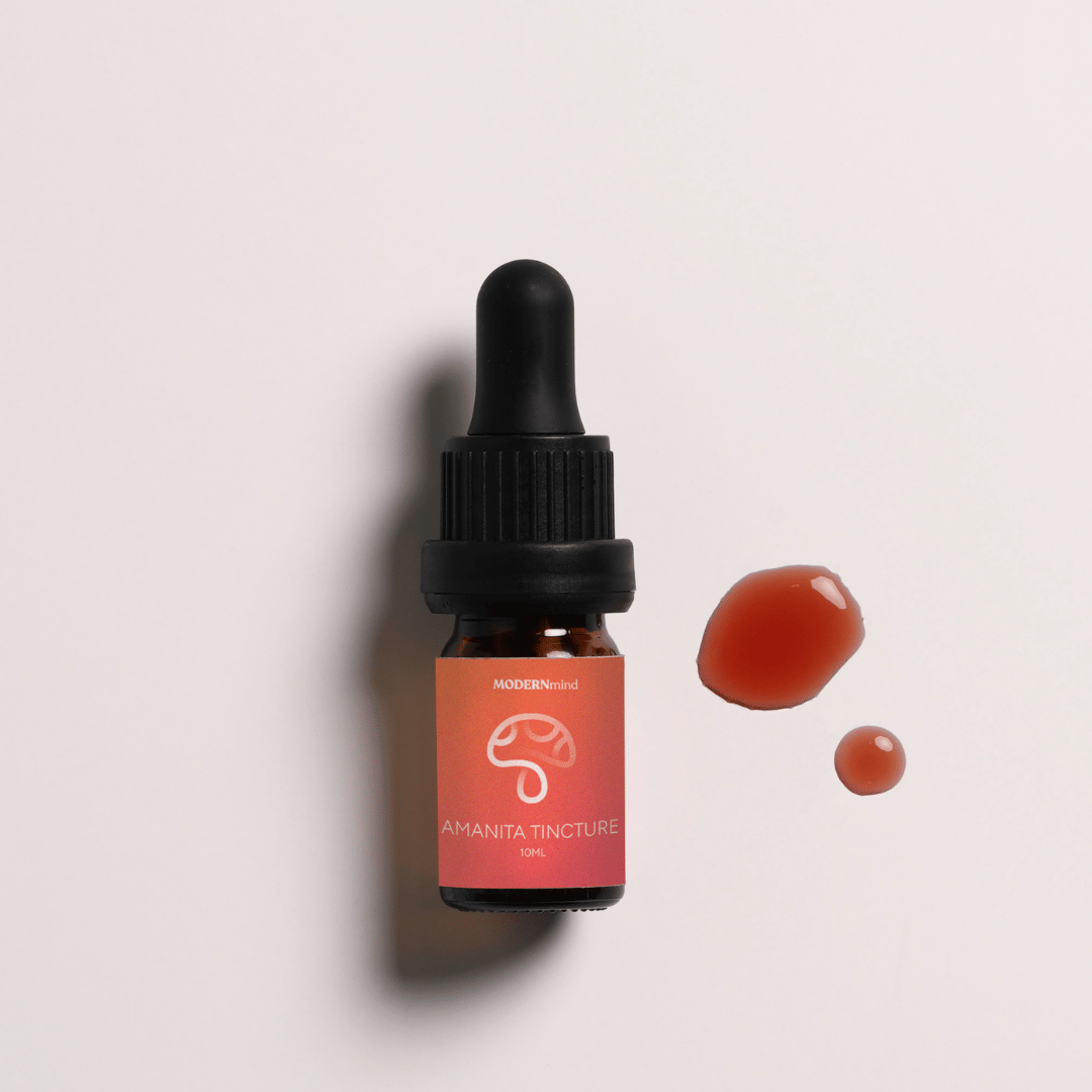 Fliegenpilz Microdosing Tinktur - Psychedelics & Retreats für dein Wohlbefinden | MODERNmind