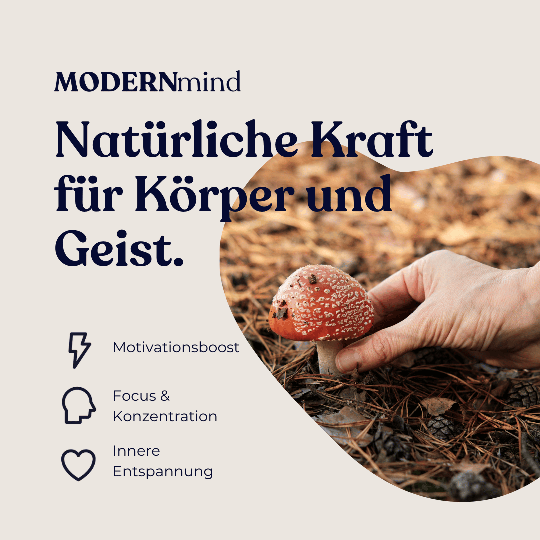 Fliegenpilz Microdosing Tinktur - Psychedelics & Retreats für dein Wohlbefinden | MODERNmind