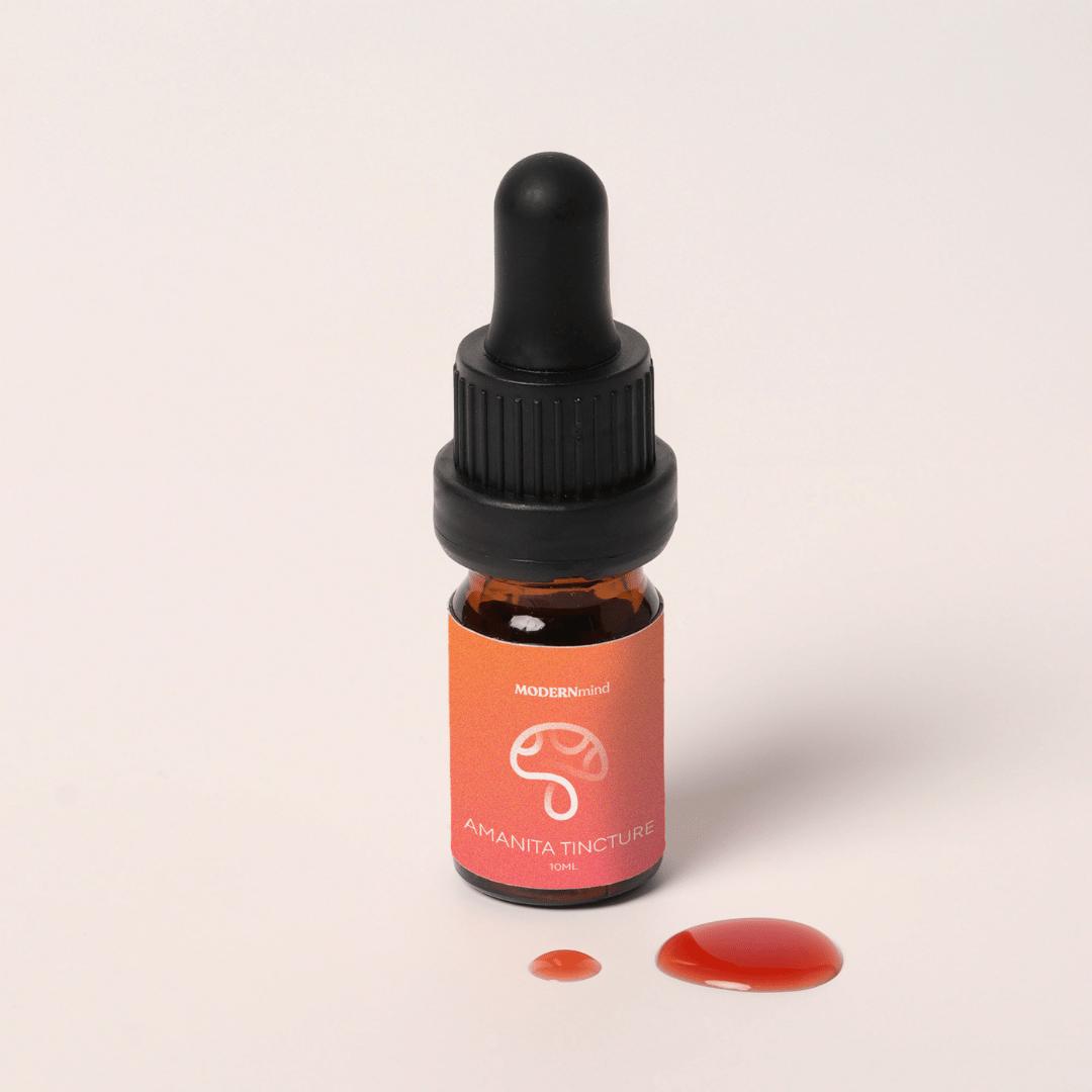 Fliegenpilz Microdosing Tinktur - Psychedelics & Retreats für dein Wohlbefinden | MODERNmind