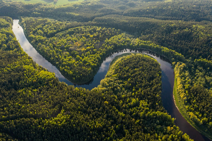 Wirkung von Rapé – Luftaufnahme eines sich windenden Flusses durch dichten, grünen Wald