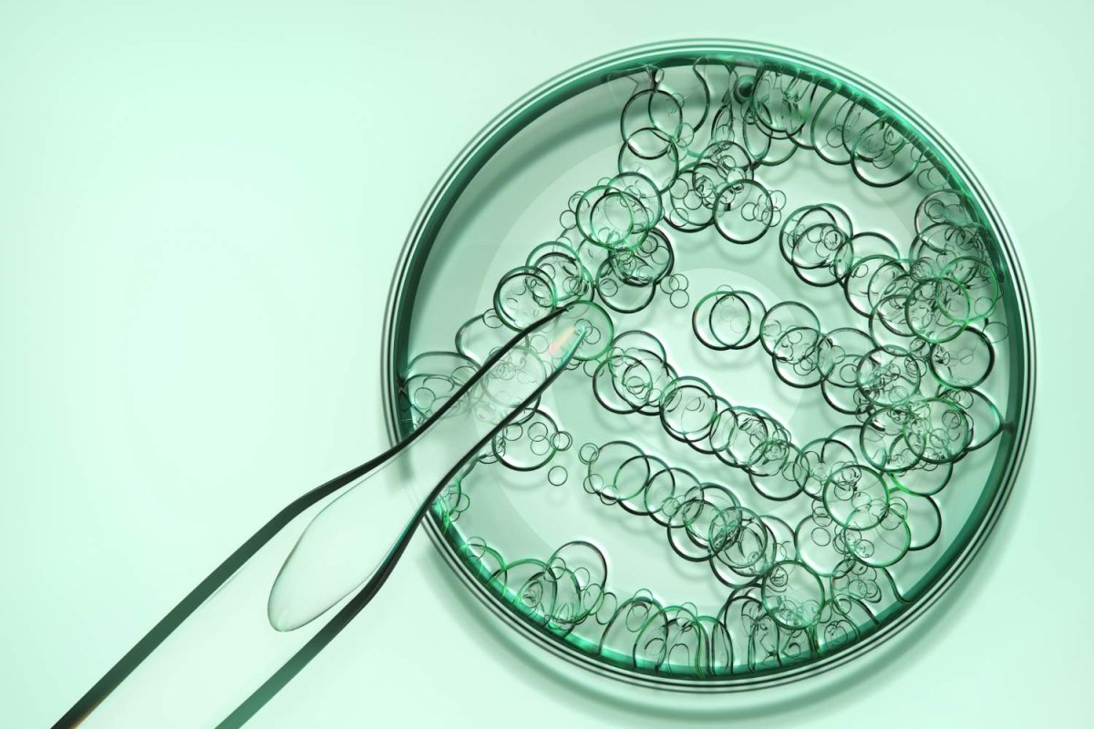 3,4-EtMC vs. 4-DMC: 3, 4-EtMC und 4-DMC Unterschiede und Gemeinsamkeiten - MODERNmind | Psychedelics & Retreats für dein Wohlbefinden
