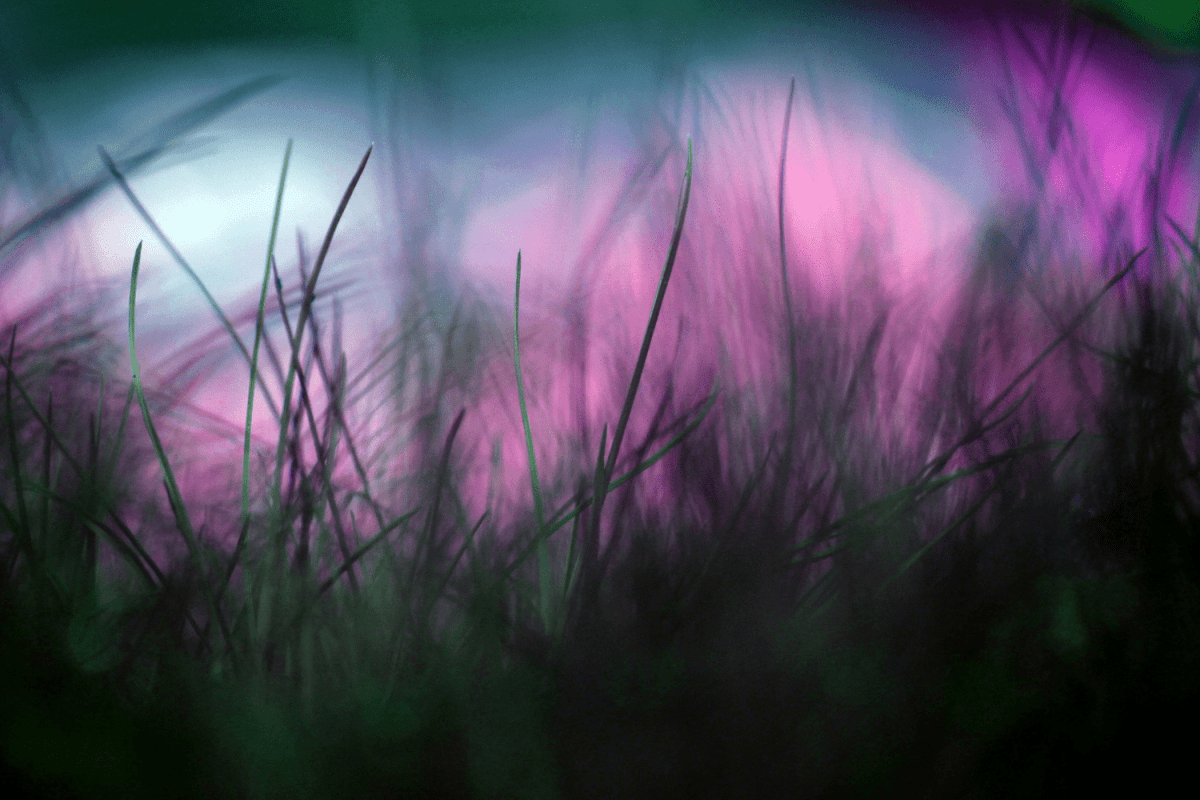 Amaris 1SB-LSD-Erfahrungsbericht: Erfahre, wie sie die Substanzreise erlebte - MODERNmind | Psychedelics & Retreats für dein Wohlbefinden