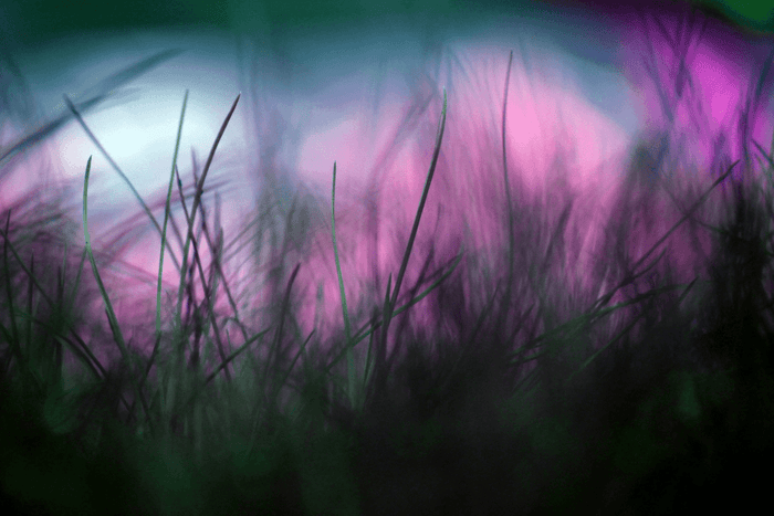 Amaris 1SB-LSD-Erfahrungsbericht: Erfahre, wie sie die Substanzreise erlebte - MODERNmind | Psychedelics & Retreats für dein Wohlbefinden