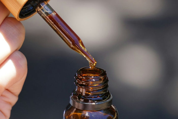 Die Dosierung von Iboga: Sichere Iboga Erfahrung durch achtsamen Einsatz - MODERNmind | Psychedelics & Retreats für dein Wohlbefinden