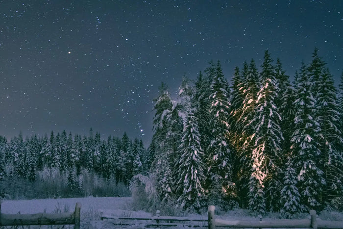 Rauhnächte räuchern – verschneiter Winterwald unter klarem Nachthimmel