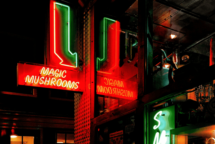 Sind Magic Mushrooms legal? Die rechtliche Lage im Detail - MODERNmind | Psychedelics & Retreats für dein Wohlbefinden