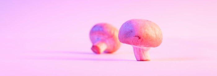 Unterschied 4-PrO-MET vs. Psilocybin und LSD - MODERNmind | Psychedelics & Retreats für dein Wohlbefinden