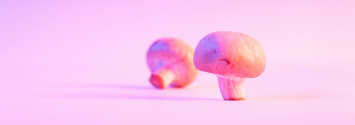 Unterschied 4-PrO-MET vs. Psilocybin und LSD - MODERNmind | Psychedelics & Retreats für dein Wohlbefinden