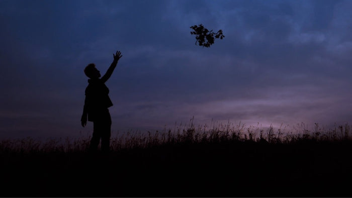 Vergangenheit loslassen - Impulse, um dich zu befreien - MODERNmind | Psychedelics & Retreats für dein Wohlbefinden