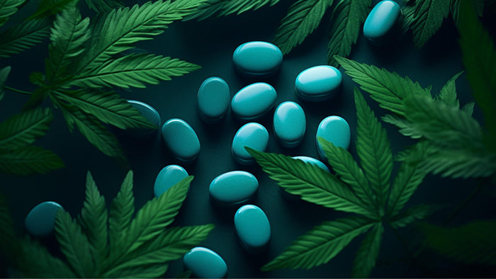 In Blut, Urin & Co: Wie lang ist LSD nachweisbar? - MODERNmind | Psychedelics & Retreats für dein Wohlbefinden