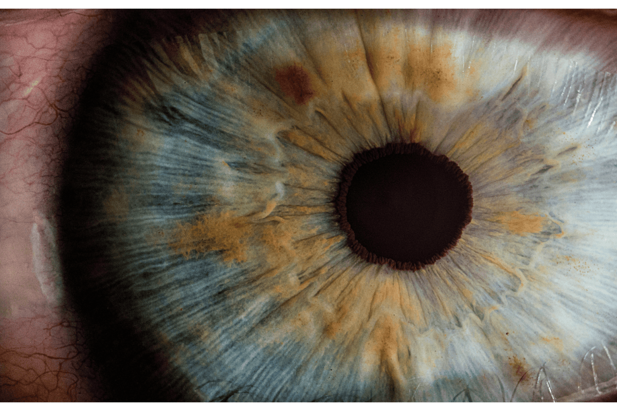 Wirkung von 3-FPO: Faszinierende Wirkung und wissenschaftliches Potenzial - MODERNmind | Psychedelics & Retreats für dein Wohlbefinden