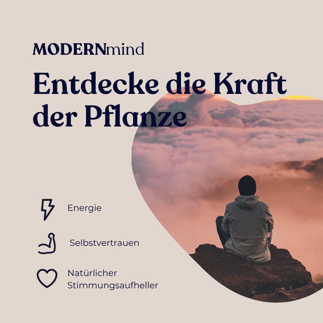 Kanna High - Dosing – Pflanzliche Kanna - Pulver - Kapseln - Psychedelics & Retreats für dein Wohlbefinden | MODERNmind