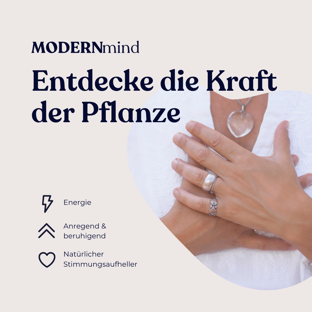 Kanna Micro Drops - MODERNmind | Psychedelics & Retreats für dein Wohlbefinden